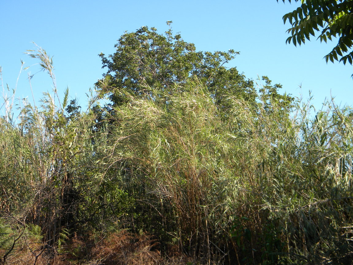 DSCN8145 .JPG
